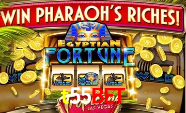Casino VIP t55bet